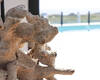 Villas Neuves Vue Sur Mer À Guardamar Del Segura 55