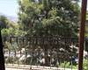 Centrally Located Apartments Close to the Beach in Kalkan 2