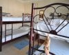 Furnished Semi-detached Villa in Camyuva, Kemer 12