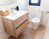 3 Bedroom Detached Houses in Algorfa in the South of the Costa Blanca
