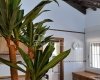 Rustic Country House with Pool in Abanilla, Costa Calida 15