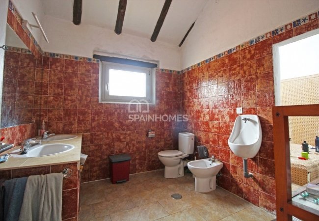 Benajarafe Málaga'da Sahile Yürüme Mesafesinde Kır Evi 21