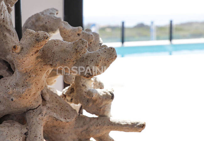 Villas Neuves Vue Sur Mer À Guardamar Del Segura 55
