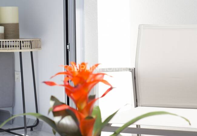 Ready to Move-in Bungalows for Sale in Benijófar