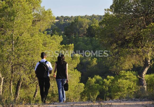 Luxe Detached Villa with High Quality Finishes in Campoamor 19