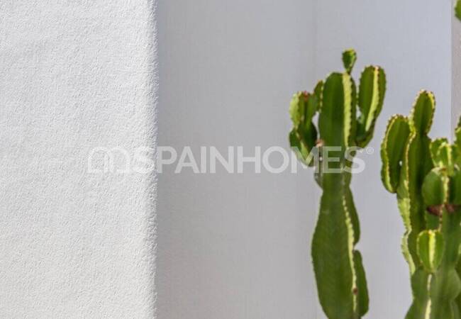 Средиземноморские Шикарные Виллы в Сан-Фульхенсио, Аликанте 17