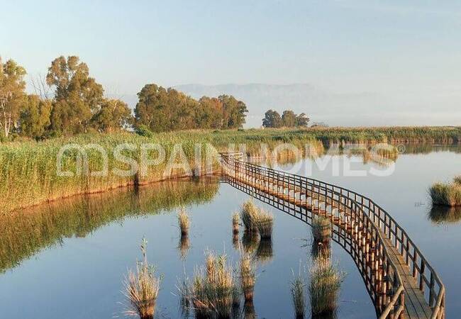 Houses with Modern Design in Dolores Alicante 12