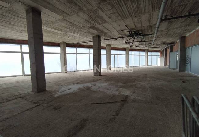 Commercial Property Meters From the Beach in Torrevieja Spain 4