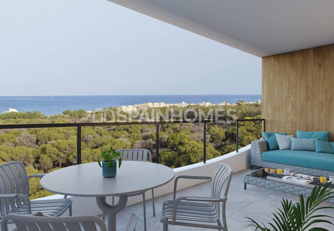 Apartamentos Con Aparcamiento Y Piscina En Guardamar Del Segura 11