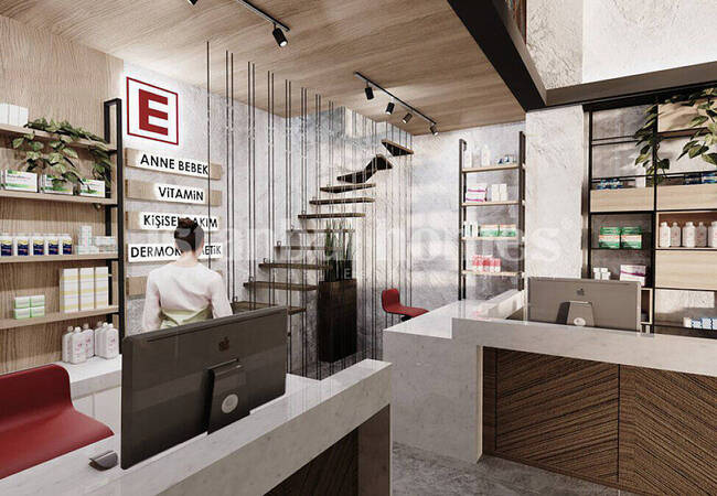 Investment Commercial Properties in Istanbul Basaksehir 2