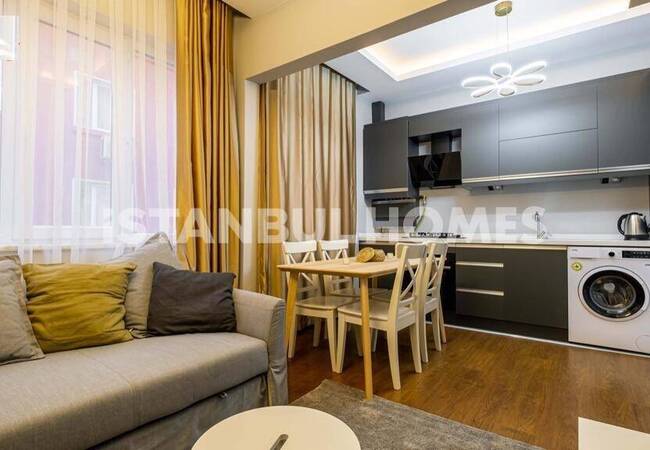 Furnished and Ready to Move Property in Istanbul Fatih