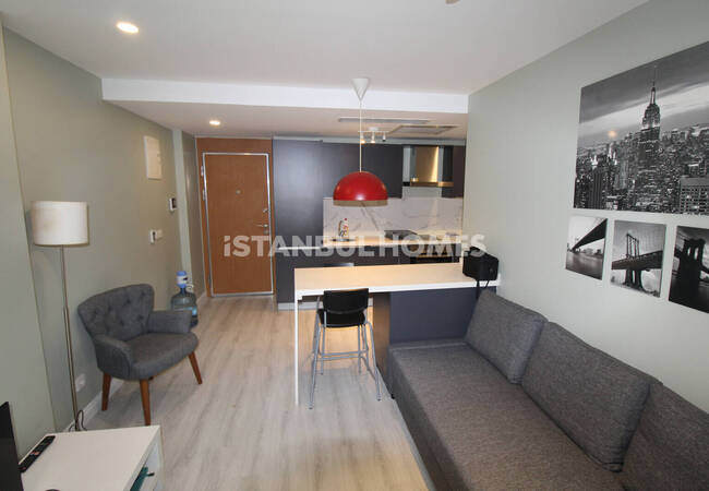 Furnished 1-bedroom Flat with Garden in Eyüpsultan 7