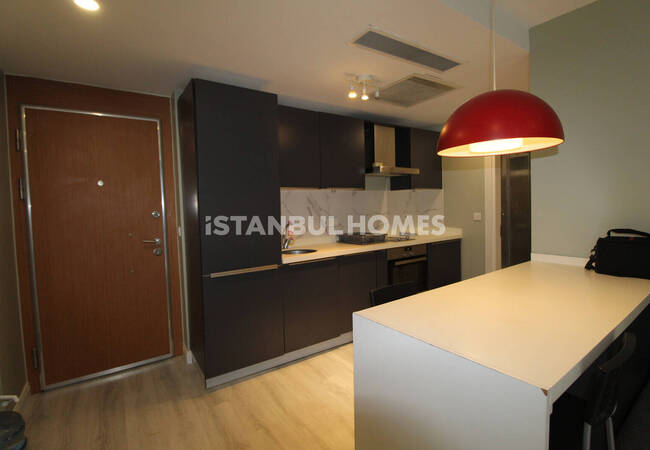 Furnished 1-bedroom Flat with Garden in Eyüpsultan 10