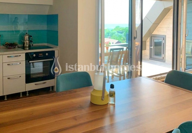 Quality Design Villas with Rich Facilities in Istanbul 10