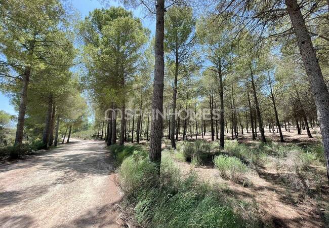 Luxuriöse Villen Mit Modernem Design In Calasparra Murcia 19