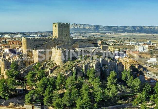 Villa with Large Cultivable Plots in Yecla Murcia 19