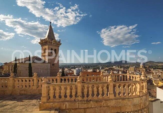 Villa with Large Cultivable Plots in Yecla Murcia 16
