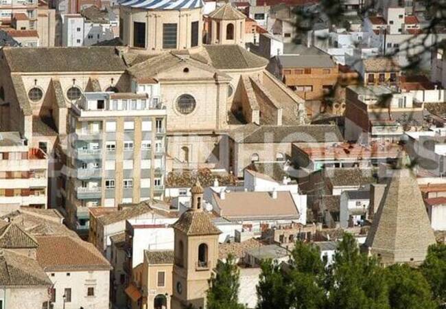 Villa with Large Cultivable Plots in Yecla Murcia 17