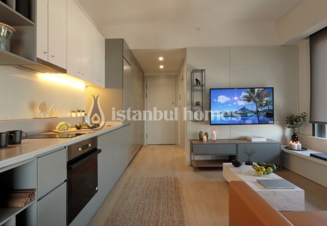 املاک جادار با کیفیت بالا در یک مجتمع لوکس در عمرانیه 38