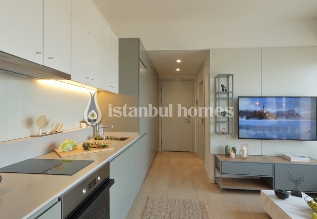 املاک جادار با کیفیت بالا در یک مجتمع لوکس در عمرانیه 43