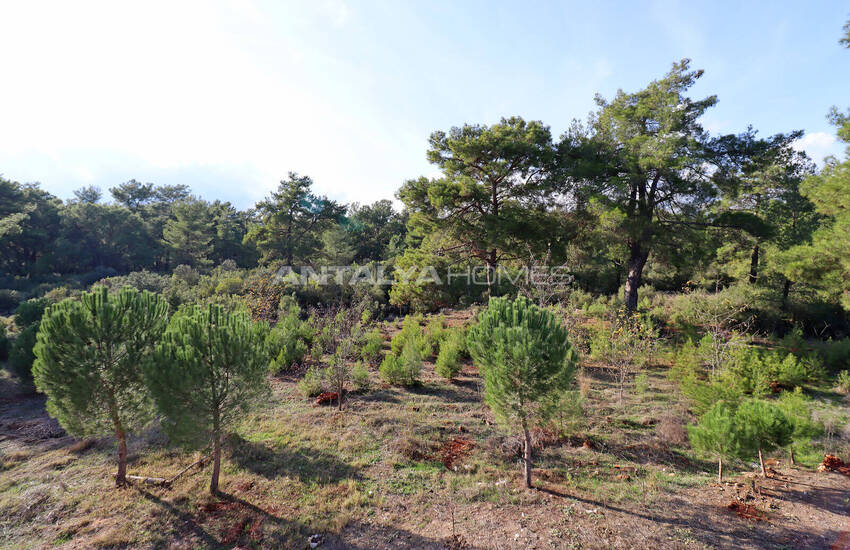 منزل منفصل مفروش في أنطاليا دوشمالتي 66