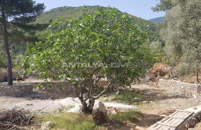 Land with Zoning Permission Surrounded by Wall in Fethiye 8