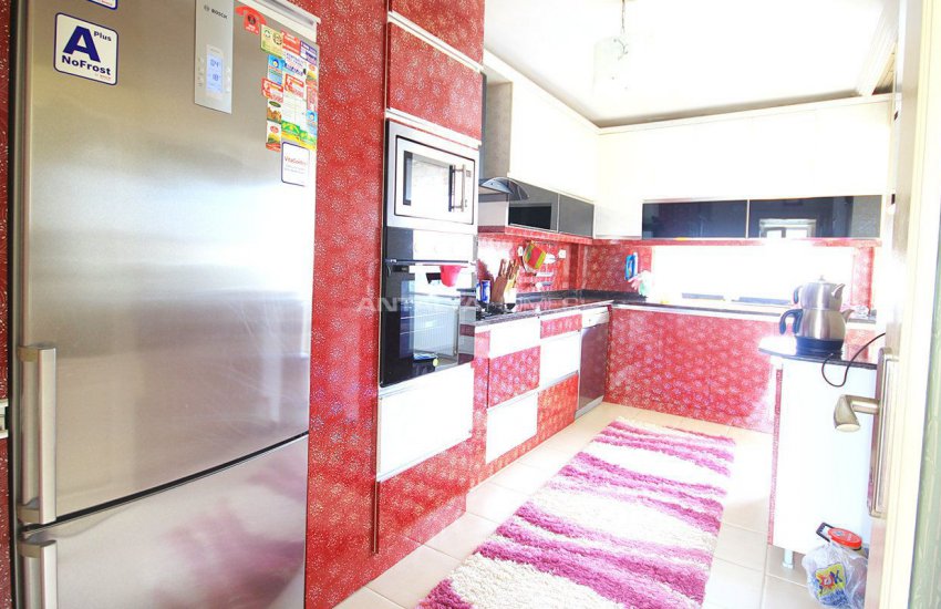 میموزا سیتی هومز 23