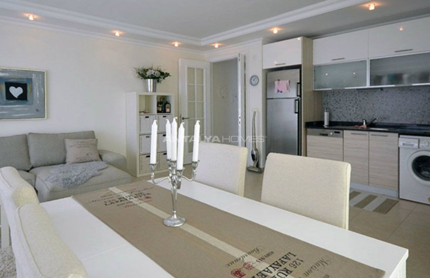 اولیو سیتی فلتس 12