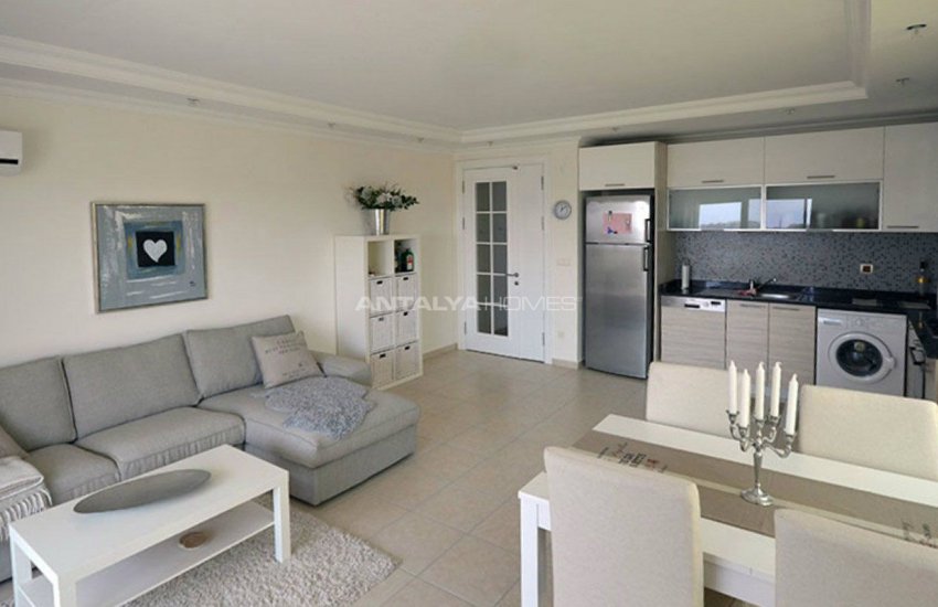 اولیو سیتی فلتس 11