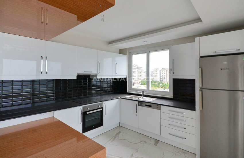 مجمع نجوم البحر 20