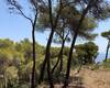 Meerblick Elegante Villa In Monte Olimpo Benitachell 14