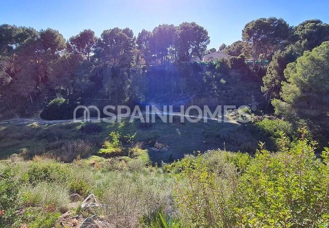 Modern Detached Villa for Sale in Pinar De Campoverde 9