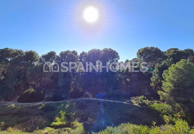 Modern Detached Villa for Sale in Pinar De Campoverde 10