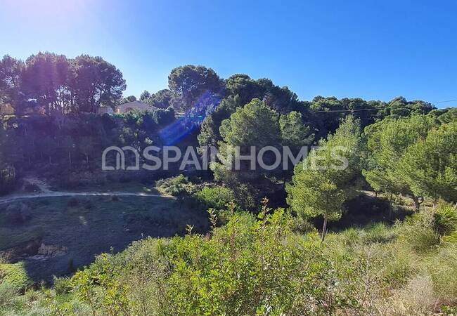 Modern Detached Villa for Sale in Pinar De Campoverde 5