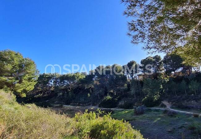 Modern Detached Villa for Sale in Pinar De Campoverde 7