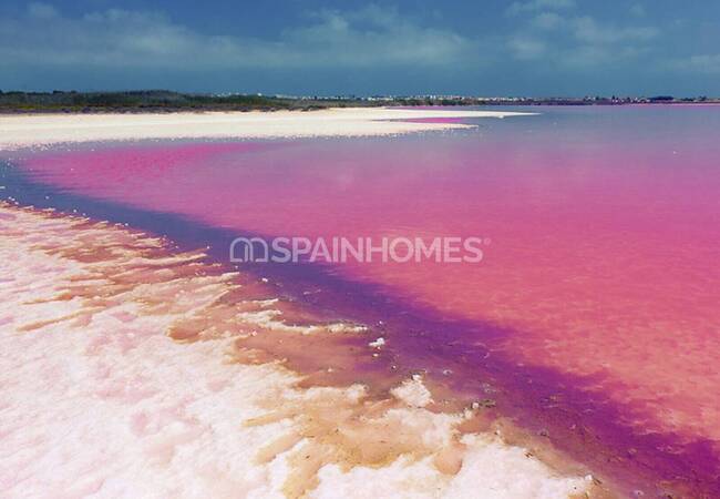 New-build Flats Close to the Beach in Mil Palmeras Spain 20