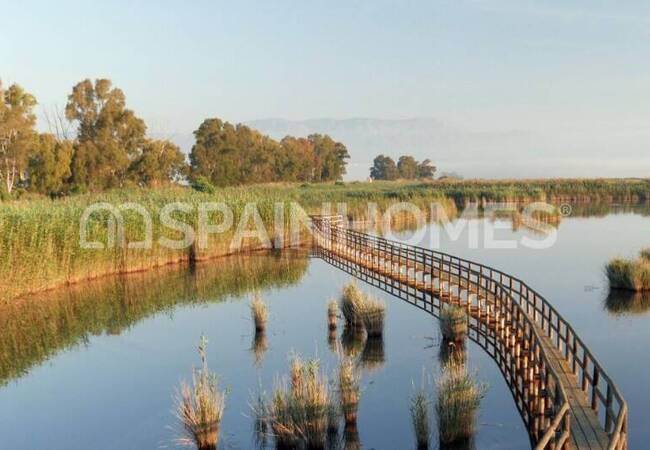 Casas Adosadas Con Piscina En Dolores Alicante 40