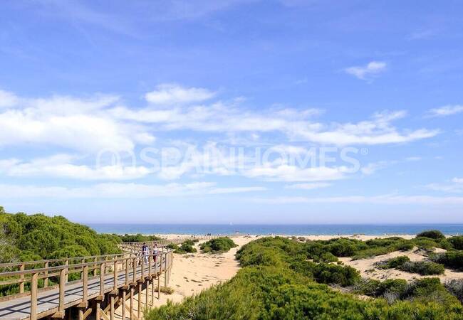Casas De 3 Dormitorios Cerca De La Playa En Elche Alicante 14