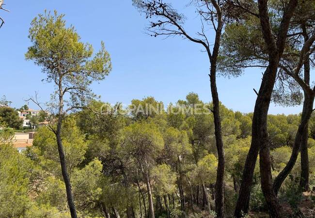Meerblick Elegante Villa In Monte Olimpo Benitachell 15