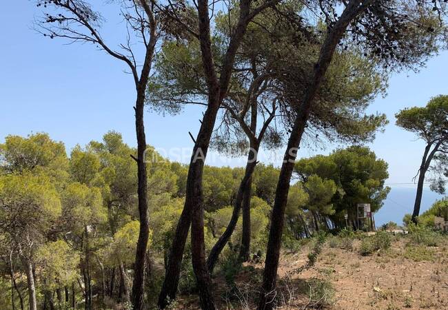 Meerblick Elegante Villa In Monte Olimpo Benitachell 14