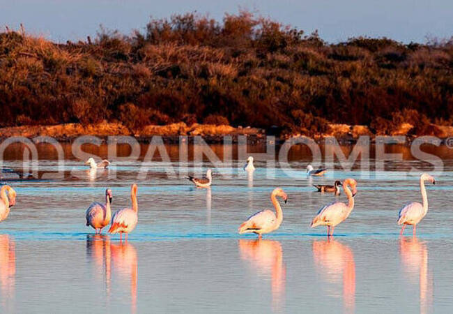 San Pedro Del Pinatar'da Özel Havuzlu ve Şık Tasarımlı Villa 36