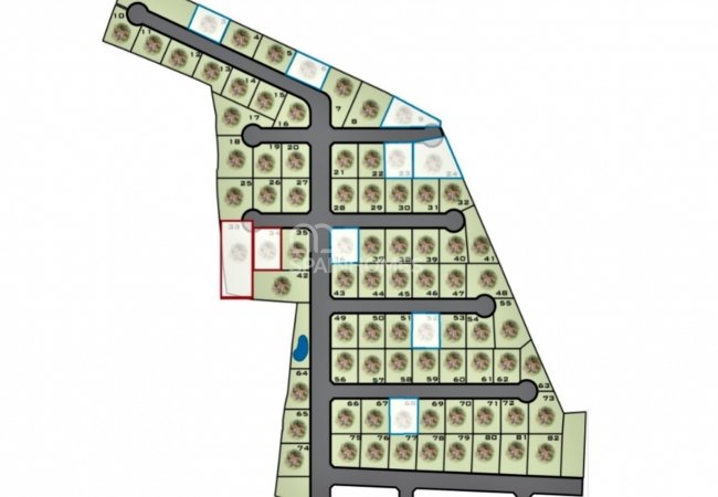 Lands in Hondon De Las Nieves, Costa Blanca 40 Km to the Sea 21