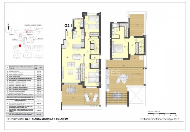 New Build Apartments in Estepona with the Mediterrenean View 19