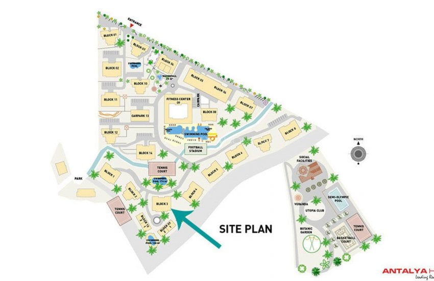 اولیو سیتی فلتس 26