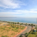 ياسر شناعة، قطر