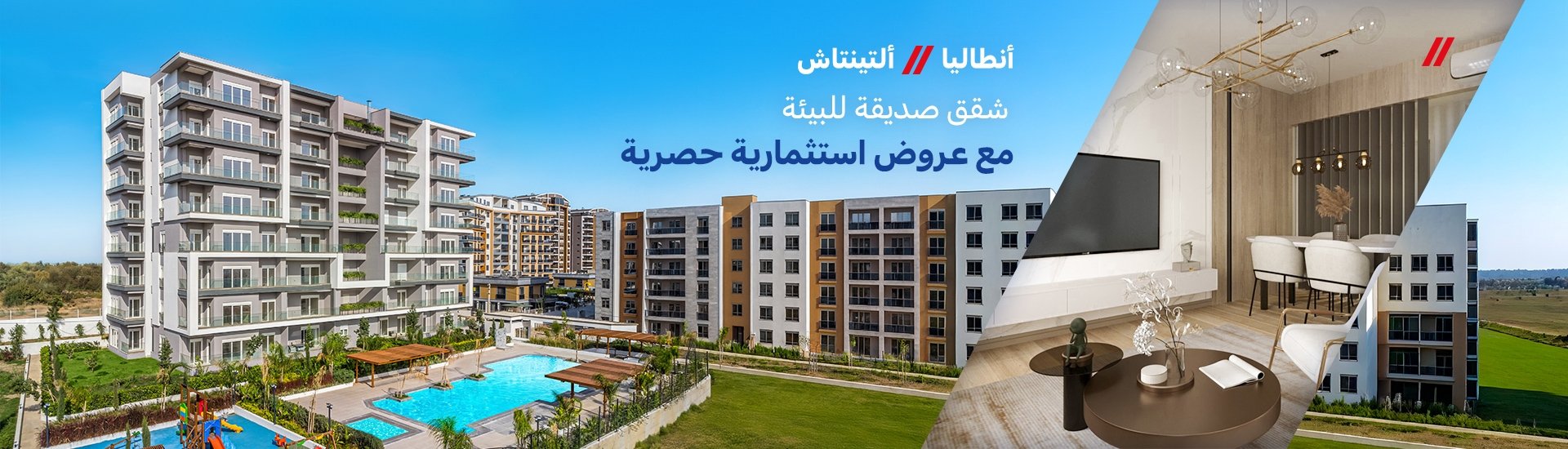 الصفحة الرئيسية