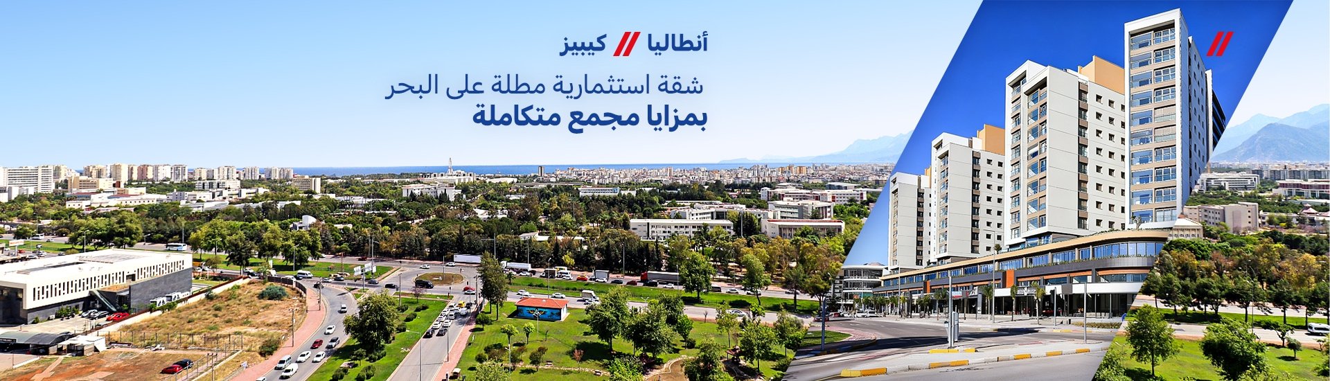 الصفحة الرئيسية