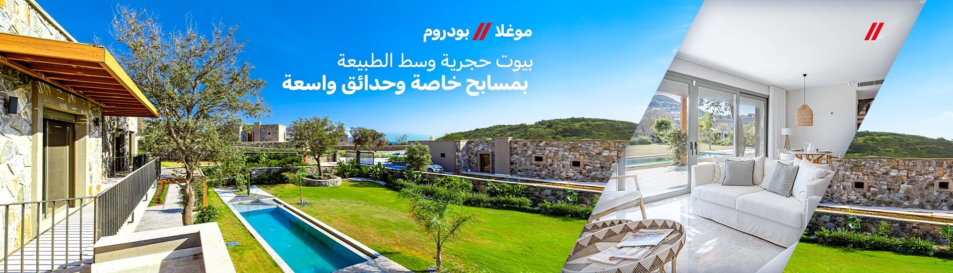 الصفحة الرئيسية