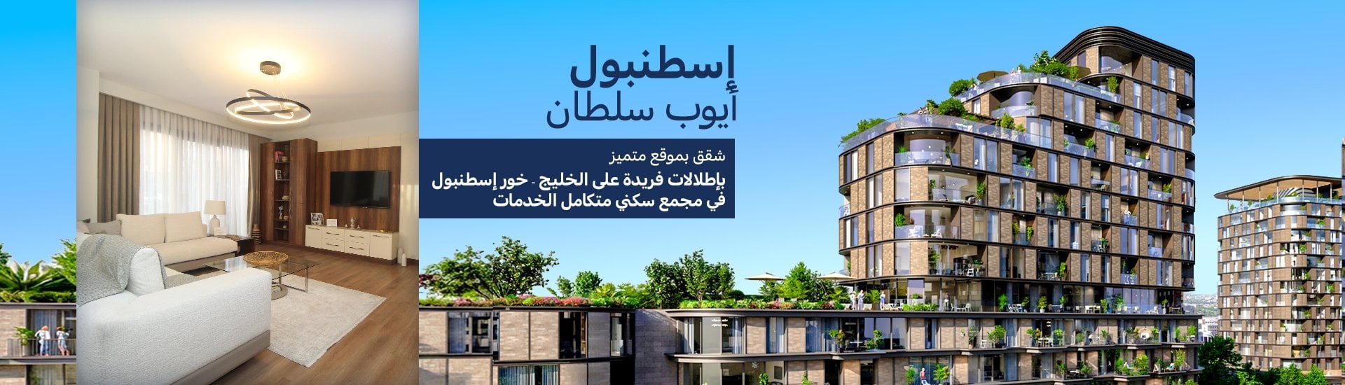 الصفحة الرئيسية