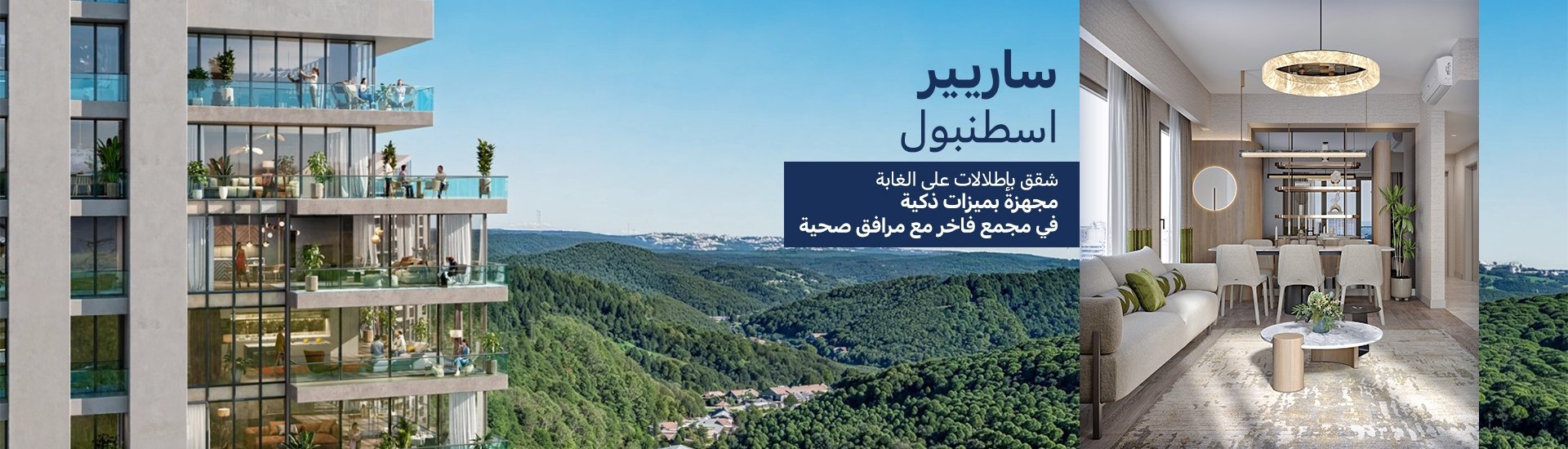 الصفحة الرئيسية